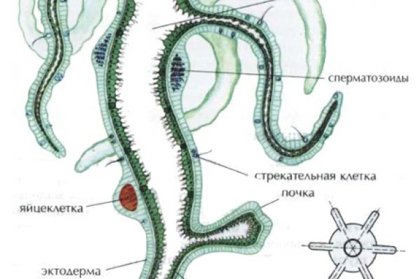 Kraken маркетплейс зеркала